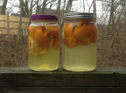 Üvegbe teszi a narancs héját, majd ecetet önt rá. Amikor megértettük miért, azonnal megcsináltuk!