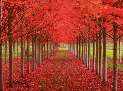 25 kép a természet csodáiról. Az agyam szinte fel sem tudja fogni a 7-et.