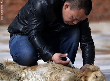 Ez gazdag férfi a kutyáját kereste a vágóhídon, de amit ott látott, a végén ott hagyta érte az összes pénzét