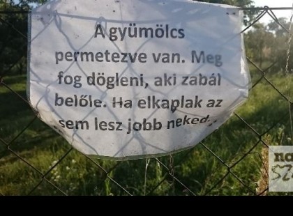 A borosgazda üzent a földjére tévedő tolvajoknak