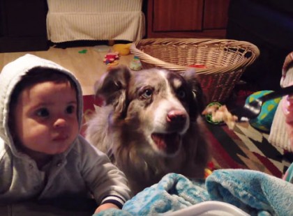 Az anya arra kéri a babát, hogy mondja azt “mama”. De figyeld a kutyát a jobb oldalon