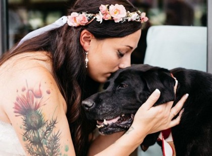 A halálos beteg kutya elkíséri gazdáját az esküvőjére… Ami az oltár előtt történt, attól csorogtak a könnyek!