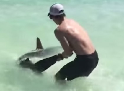 A férfi puszta kézzel kihúzta a cápát a vízből… amit a szájában talált, sokkolta a parton lévőket!