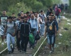 A britek megmerték lépni : kivágják az országból a migránsokat!