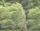 Figyelem!13 fok és 80km/órás szélvihar jön!