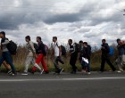 Feladták a szerb rendőrök! “Állítsa meg Magyarország a migránsokat, ha akarja!”