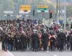 Ausztriában hatalmas változás lesz! Menekülnek a migránsok!