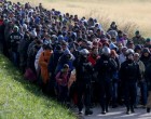 Szertefoszlottak a svéd migránsálmok!