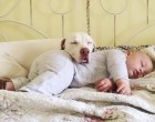 Ez a befogadott kutya lefeküdt az alvó baba mellé. Ami ezután történt, az felrobbantotta az internetet, olyan cuki!!!