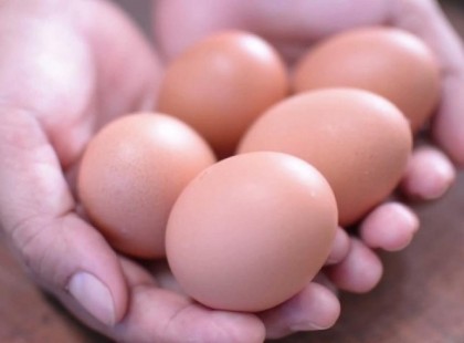 Figyelem!SZALMONELLAVESZÉLY! Ha ilyen tojást vett azonnal dobja ki!