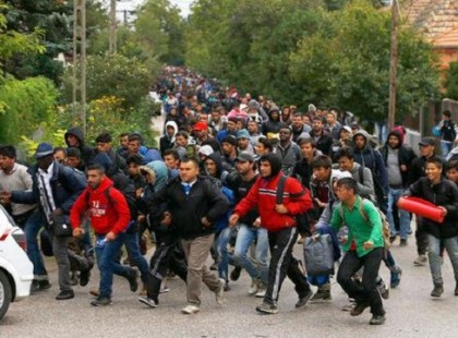 Ez a szörnyűség zajlik Európában! Megdöbbentő adatokra derült fény!