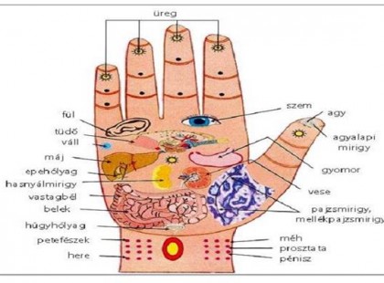 Itt a nagy kéztérkép! Viszlát magas vérnyomás, reuma, fejfájás!