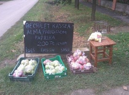 Tegnapi kép (2016.10.13.) Füzesgyarmat, na én ilyen világban szeretnék élni amit ez a kép jelképez.