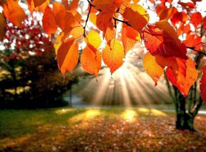 Akár 20 fok is lehet a hétvégén