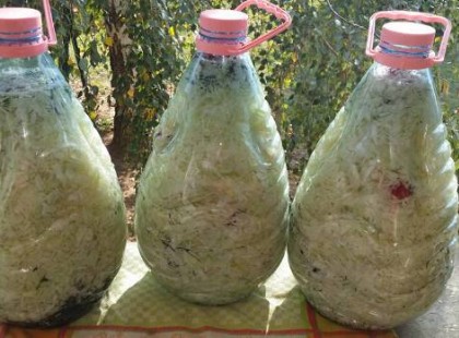 Az országba gasztro bombaként robbant be ez a szabolcsi csoda recept