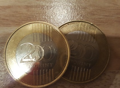 400 forintból eteti családját ez a háziasszony: így csinálja – MEGMUTATJUK HOGYAN LEHET NAPI 400 FORINTBÓL ÉLNI!