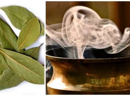 Ezt miért nem mondta senki eddig nekem a babérlevélről?