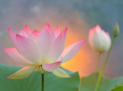 Október 22-én tízmilliószoros nap van! Eljött az idő, hogy valóra váltsd az álmaidat!