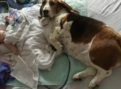 A haldokló kislány szülei példátlan dolgot kértek a kórháztól!