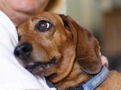 A barátnője üvöltött: én, vagy ő! Amit ez a dühös férfi tett ezután, hihetetlen.