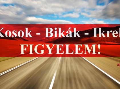 Éves horoszkóp 2017- re. Kos - Bika - Ikrek