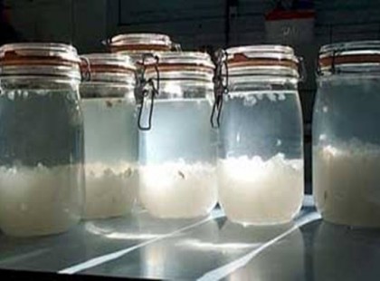 92 éves nagymama ajánlásával!Több, mint száz évet élnek azok az emberek, akik ezt az italt isszák minden nap!