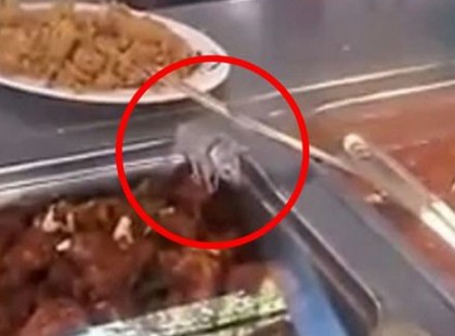 ELEGÜK LETT A PINCÉREKNEK, ÉS ELÁRULTÁK AZ ÉTTERMEK SÖTÉT TITKAIT