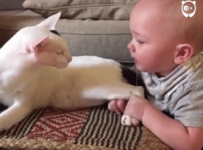 A baba húzza a macska hátsó lábát. De amit az anya ezután filmre vett, az futótűzként söpört végig az interneten.