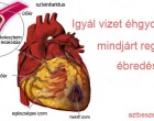 Vizet ivott, minden reggel éhgyomorra, ébredés után, és kigyógyult a betegségéből!