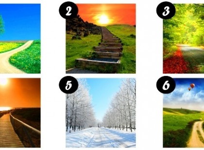 Te melyik utat választod?