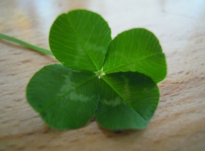 Szerencsét hozó lóhere - add tovább ,és hamarosan szerencse ér