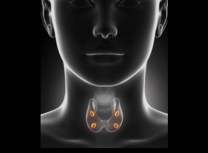 Amit az orvosok titkolnak: egyetlen szer megjavítja a pajzsmirigy működését