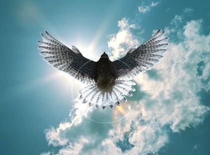 Aranyosi Ervin: Engedd el a múltad!