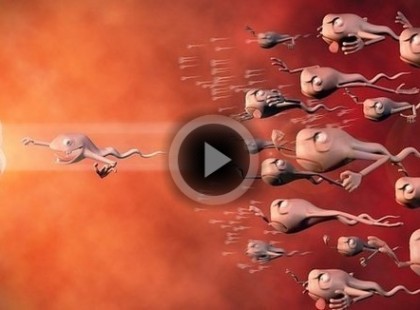 9 hónap terhesség 4 percben