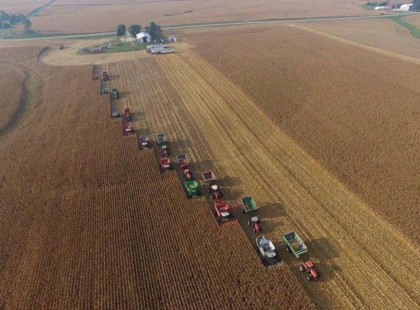 A gazda rákos beteg és úgy tűnik az egész termést elveszíthet – de ekkor szomszédjai akcióba lépnek