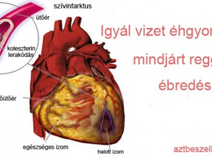 Vizet ivott, minden reggel éhgyomorra, ébredés után, és kigyógyult a betegségéből!