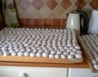 Csodásan finom és puha puszedli. Mentsd el a receptet, bármikor jól jöhet!