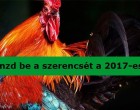 Így vonzd be a szerencsét a 2017-es évbe!