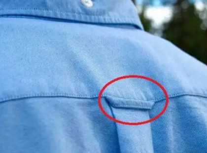 SOSEM GONDOLNÁD MIRE JÓ EZ A KIS PÁNT AZ INGEK HÁTULJÁN!