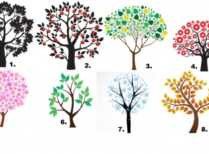 VÁLASSZ EGY FÁT, ÉS NÉZD MEG, MIT ÁRUL EL RÓLAD!