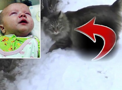 Ezt az újszülöttet kint hagyják az utcán, hogy fagyjon meg – amit a kóbor macska tesz, azt a világon mindenütt ünneplik