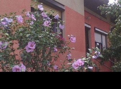 Kispénzű családnak valós álomotthon lehet!