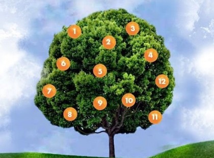 Kívánj valamit, válassz ki egy gyümölcsöt és nézd meg, hogy valóra válik-e 2017-ben!