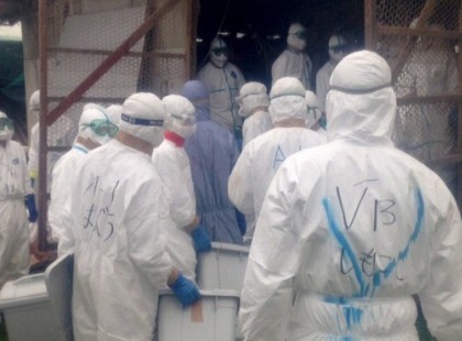 Ismét lecsapott a madárinfluenza