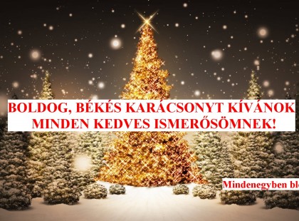 BOLDOG, BÉKÉS KARÁCSONYT KÍVÁNOK MINDEN KEDVES ISMERŐSÖMNEK!