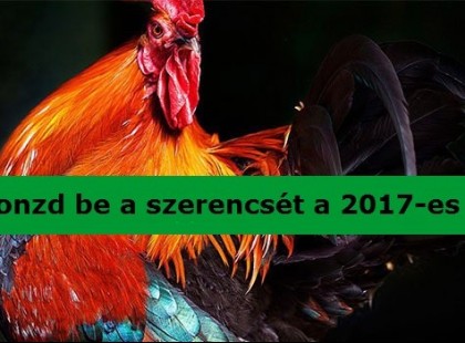 Így vonzd be a szerencsét a 2017-es évbe!