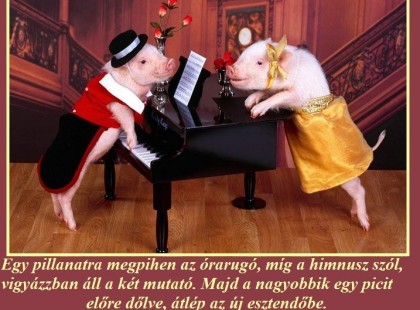 Boldog Új Évet Kívánunk Mindenkinek!