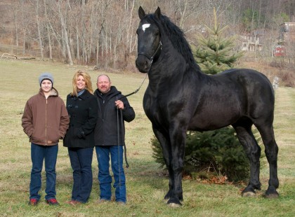 20 óriási állat, ami valóban létezik – a 9-es számútól rémálmaink lesznek