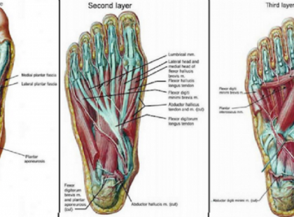 5 lábgyakorlat, amely csökkenti a csípő, a térd és a hátfájdalmakat!