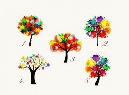 Válassz egy fát és tudj meg érdekes részleteket magadról!